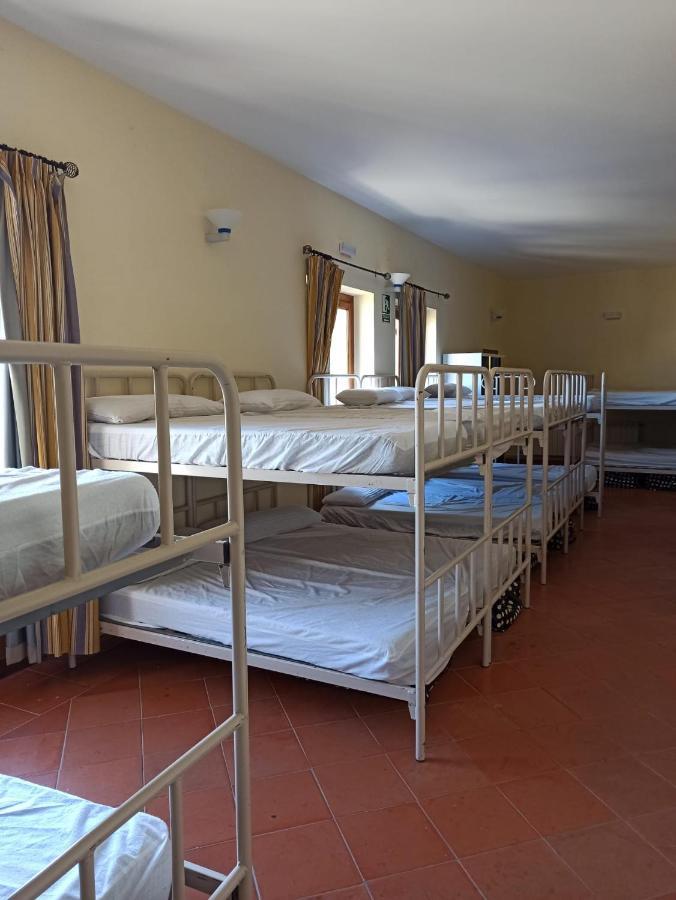 Albergue De Sos del Rey Católico Екстериор снимка