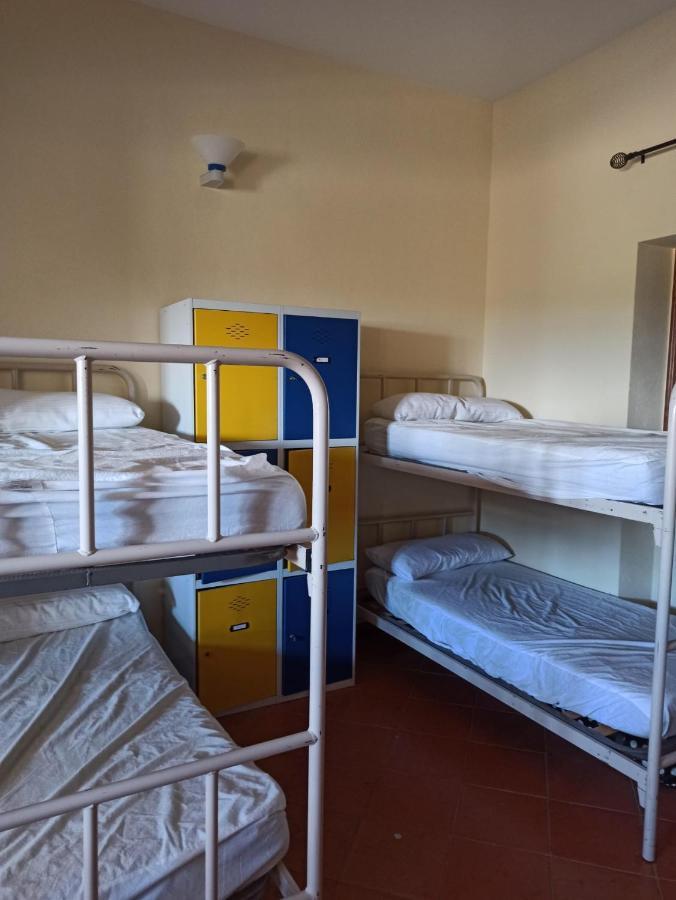 Albergue De Sos del Rey Católico Екстериор снимка